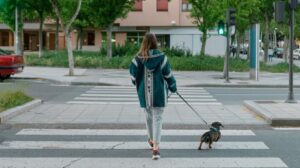 girl-walking-the-dog-alone-in-a-croswalk-1296x728-header-300x168 3 Ways On How To Become More Private