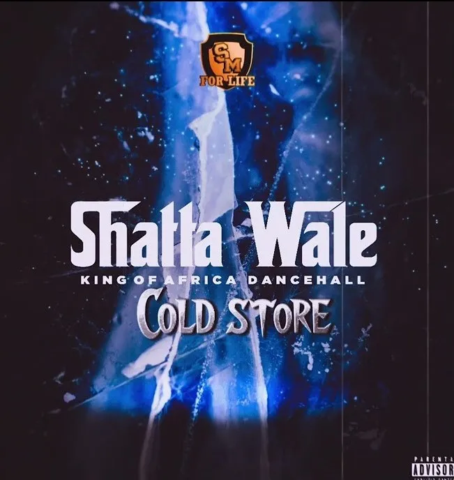 Shatta-Wale--Cold-Store