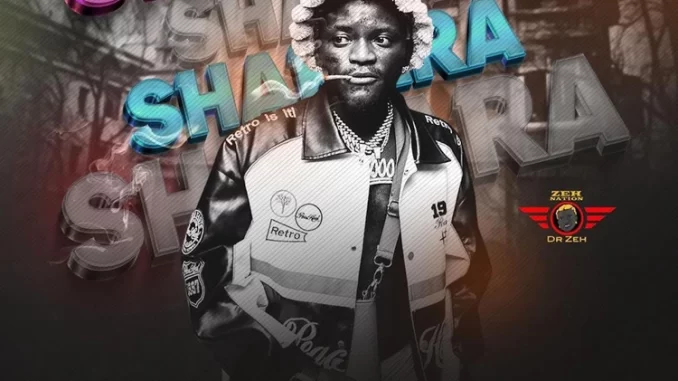 Portable-–-Shakara-Oloje Portable – Shakara Oloje
