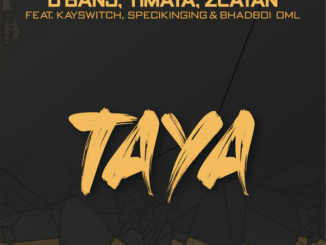 D'banj – Taya ft. Zlatan, Timaya, BhadBoi OML, Kayswitch & Specikinging