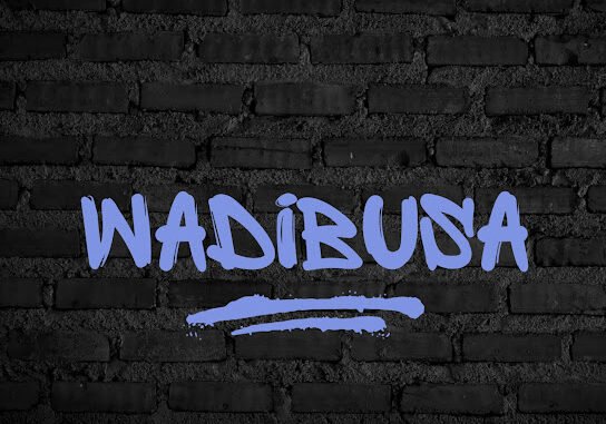DJ KERV – Wadibusa uncle waffles DJ KERV – Wadibusa uncle waffles