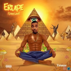 Tmaze - Erupe
