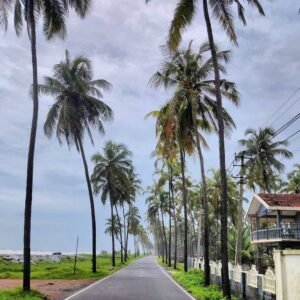 Khaid – Kupe