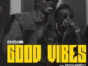 Didi B – Good Vibes ft. Zinoleesky