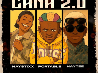 Haystixx – CANA (Remix) Ft. Portable & Haytee