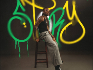 Fireboy DML – Story Ft. Take A DaytripFireboy DML – Story Ft. Take A Daytrip
