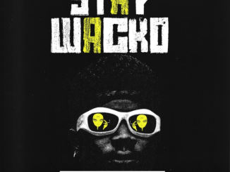 TheFeyiii – Stay Wacko