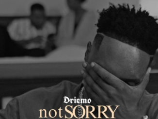Driemo – Not Sorry