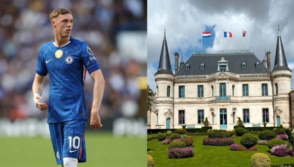 Cole Palmer in bizarre ‘Cold Palmer’ trademark battle with famous French vineyard
