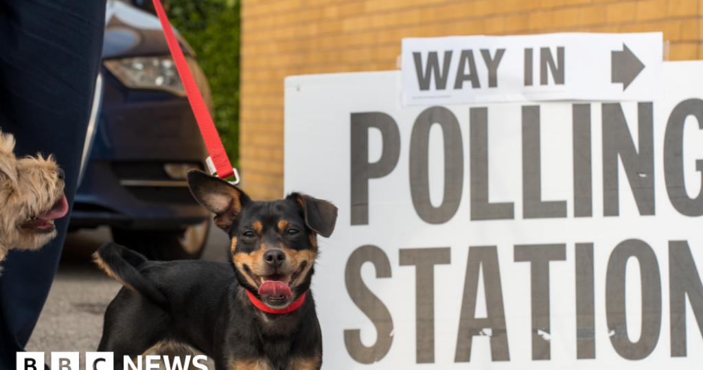More than 60 Labour MPs call for review of UK voting system