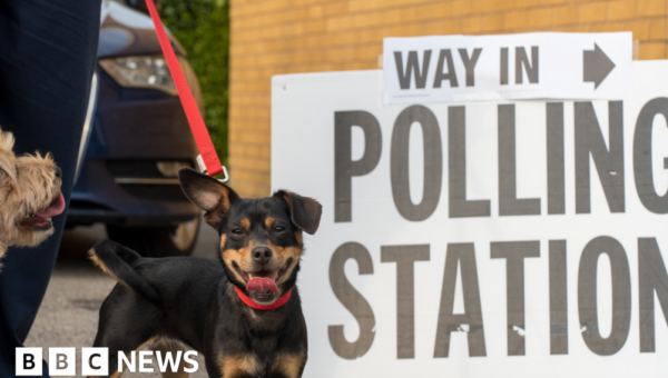 More than 60 Labour MPs call for review of UK voting system