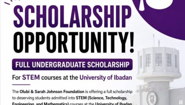 Olubi & Sarah Johnson Foundation Scholarship 2026