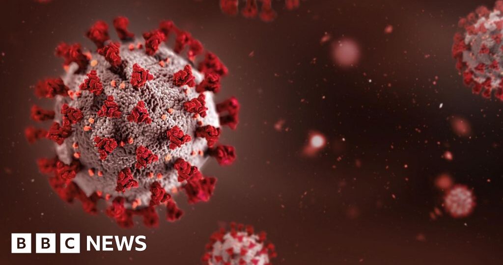 Africa summit in India postponed over Ebola outbreak fears