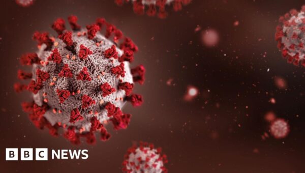 Africa summit in India postponed over Ebola outbreak fears