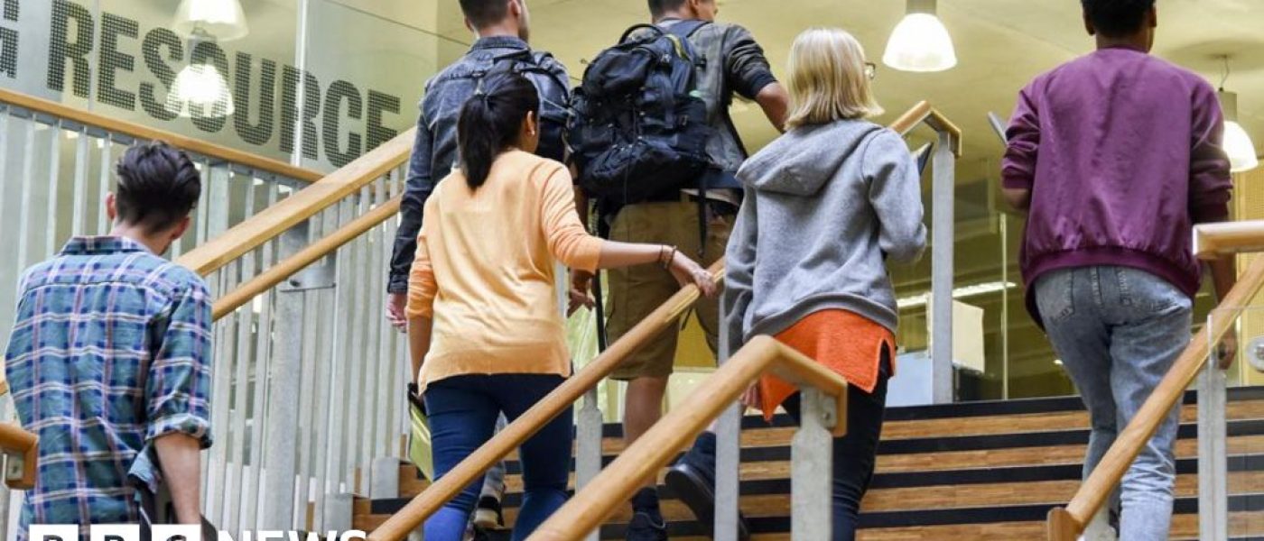 Students at risk if universities go bust, say MPs