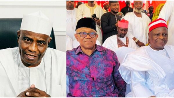Peter Obi, Kwankwaso Left ADC To Test Popularity Elsewhere — Tambuwal