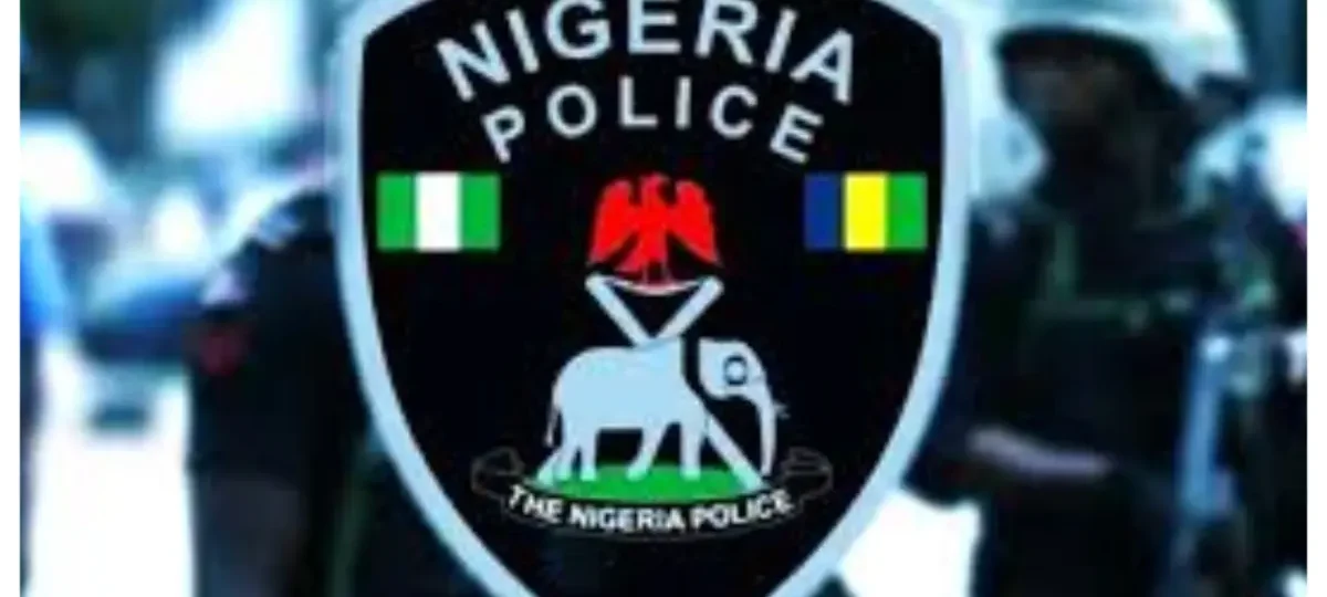 Police call for calm, clarify report of alleged kidnapping in Abuja school