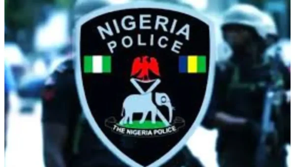 Gombe police uncover live ammunition concealed in sack