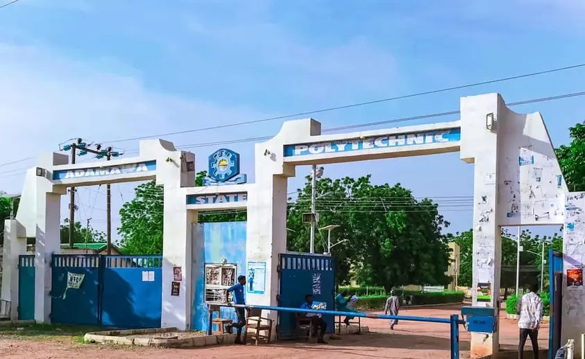 Robbers invade Adamawa Poly female hostel, cart away phones