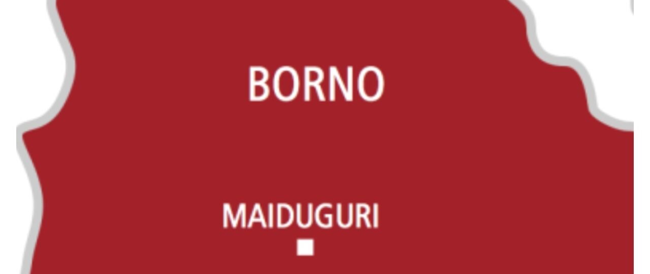 Six terrorists die in own bomb explosion in Borno