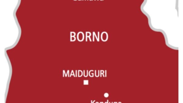 Six terrorists die in own bomb explosion in Borno