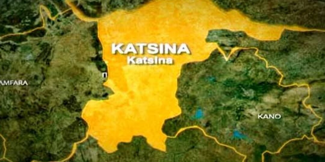 Bandits intercepted, stolen cattle recovered in Katsina