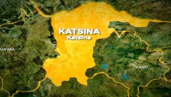 Bandits intercepted, stolen cattle recovered in Katsina