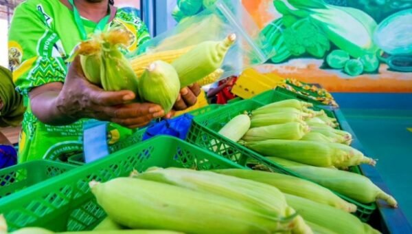 Lagos Food Hubs Record ₦3.8bn Transactions — Agric Commissioner