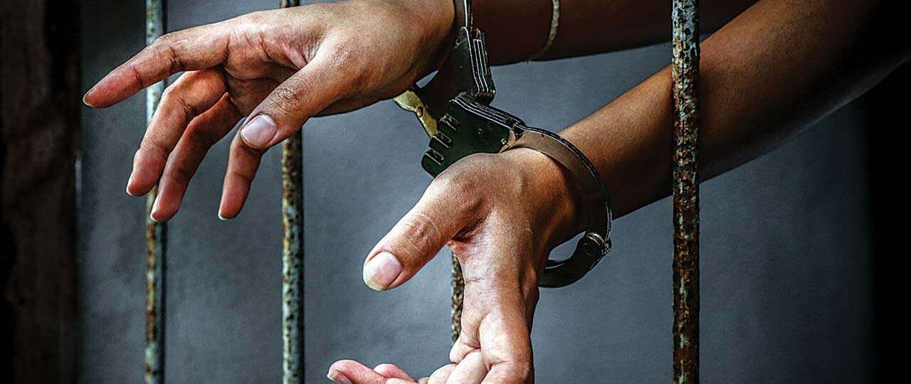 Police arrest suspected bandit informants, recover livestock in Sokoto