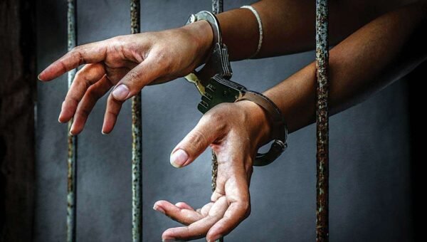 Police arrest suspected bandit informants, recover livestock in Sokoto