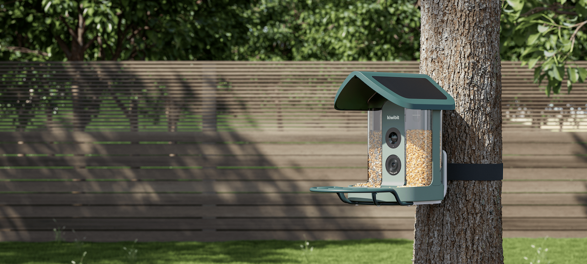 Kiwibit’s AI-powered bird feeder is my new backyard buddy