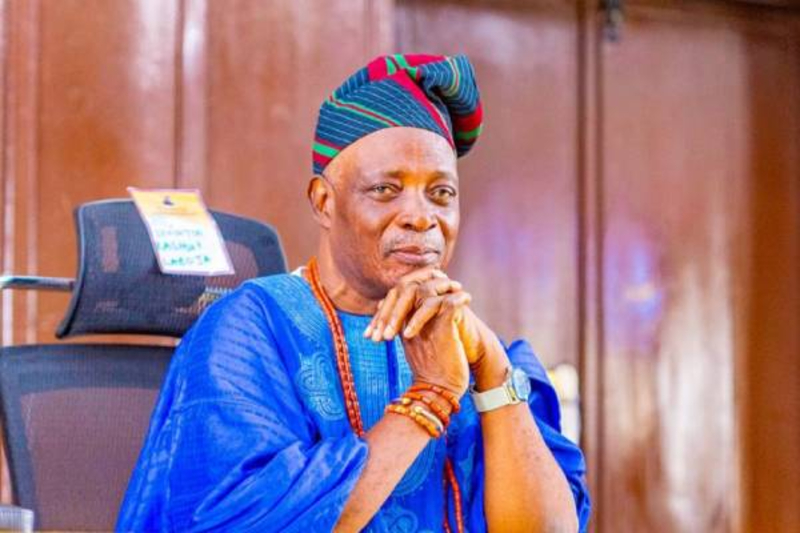 Olubadan stops demolition of 200 houses in Ibadan