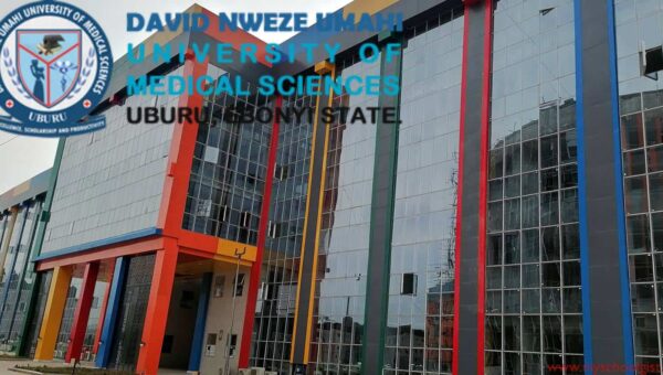 DUFUHS IJMB Admission Form for 2026/2027 Academic Session