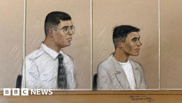 London stabbing of journalist was by men working for Iran, court told