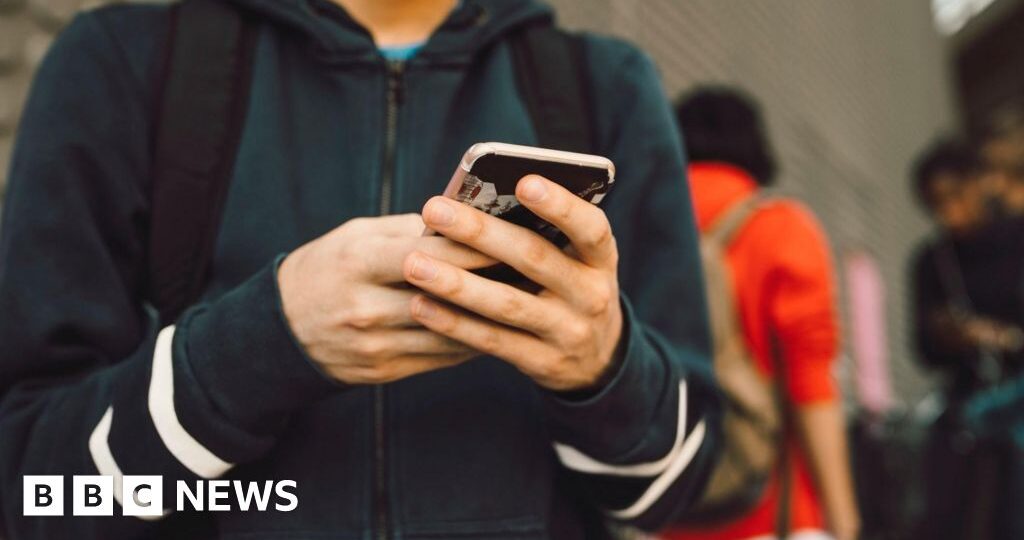 UK police bosses say unsafe social media platforms should be blocked for under-16s