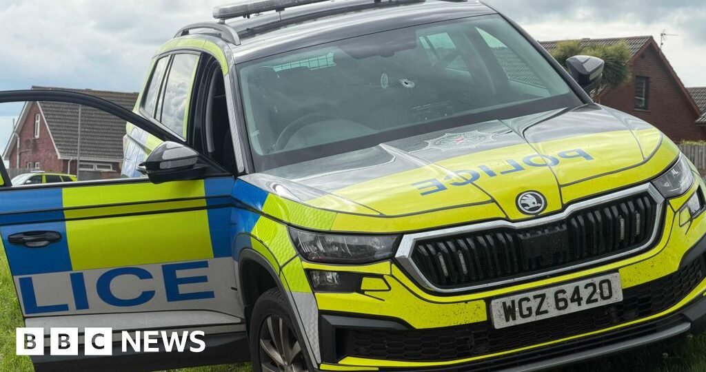 Shot fired as officer struck by stolen police car
