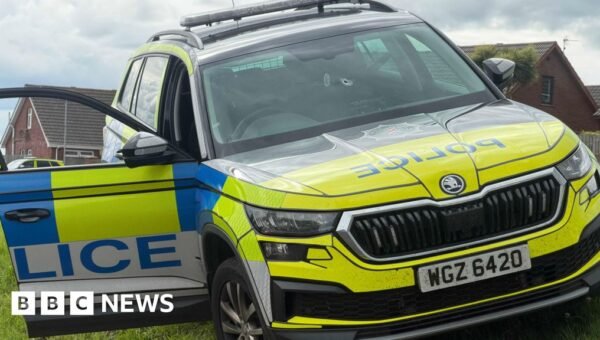 Shot fired as officer struck by stolen police car
