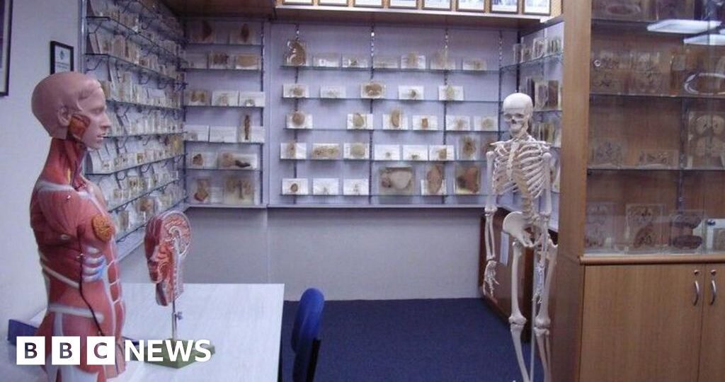 Tasmanian government apologises over stolen body parts scandal