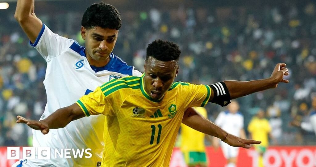 South Africa made to look like fools after World Cup visa issues, says minister