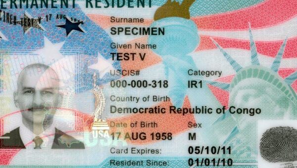 What smart people are saying about the new green card crackdown