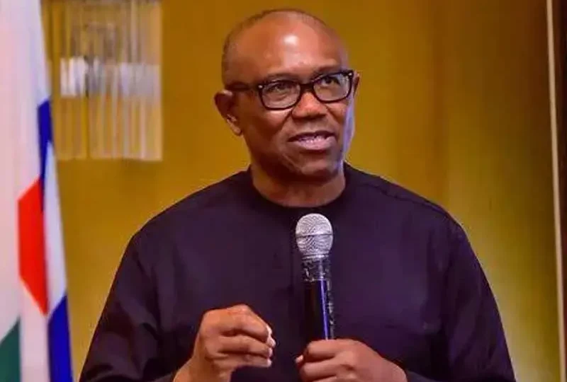 Foreign trips must deliver economic benefits not fashion displays – Peter Obi