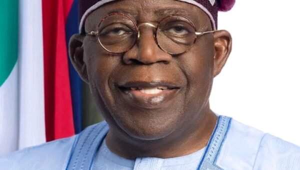 APC primaries: Breakdown of Tinubu’s victory across states