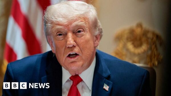 US judge halts Trump’s $1.8bn ‘anti-weaponisation’ fund