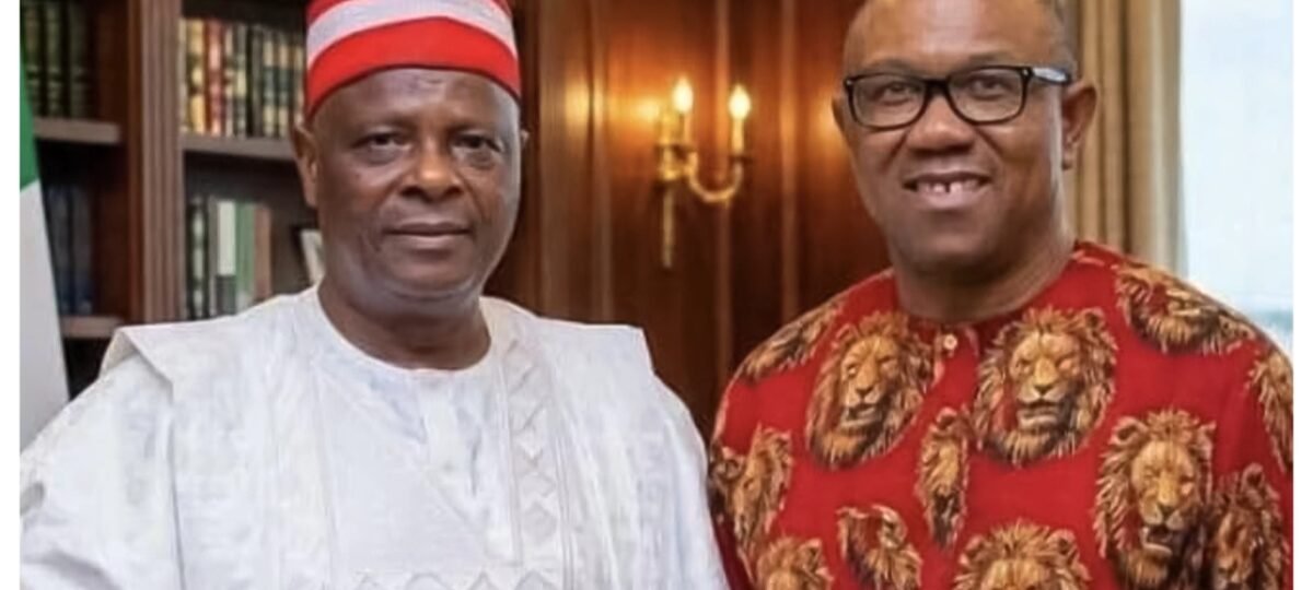 NDC presidential ticket: I accept to be Peter Obi’s running mate – Kwankwaso