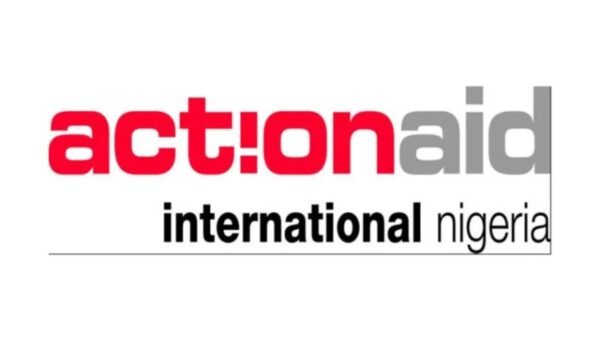 Nigeria’s debt: Newborn already starts life owing N691,000 – ActionAid
