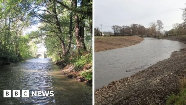 How a farmer caused the ‘worst case of riverside destruction’ ecologists have seen