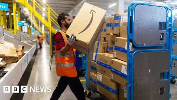 Why does Amazon have no Western rivals?