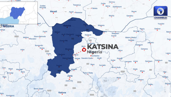 Police Rescue 11 Kidnap Victims In Katsina, Recover 25 Rustled Cows