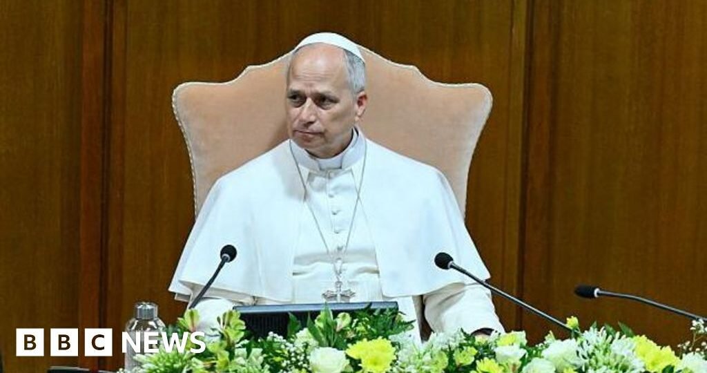 Pope Leo says AI must be 'disarmed' in first major teaching