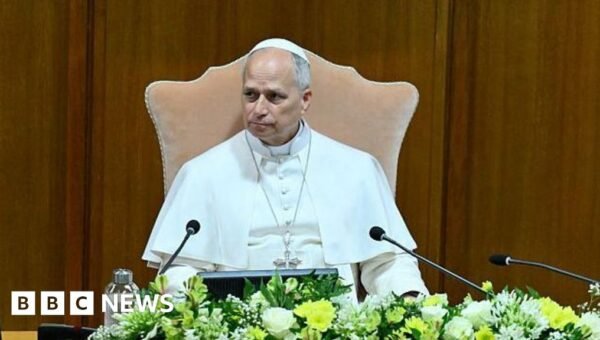 Pope Leo says AI must be ‘disarmed’ in first major teaching